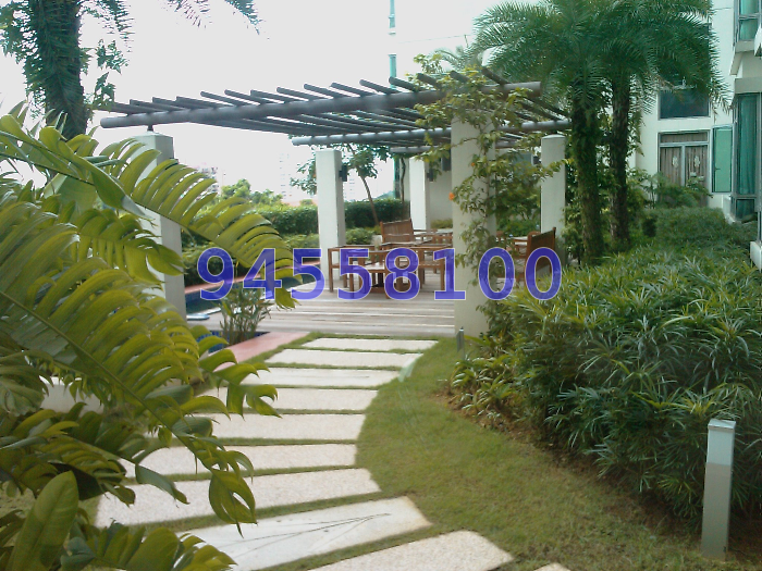 The Lakeshore (D22), Condominium #38557292